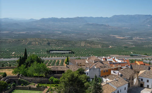 Oleoturismo en Baeza